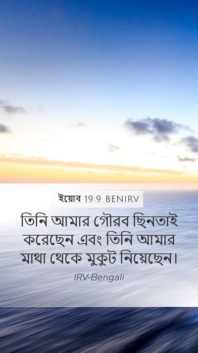ইয়োব 19:9 BENIRV Bible Verse Image