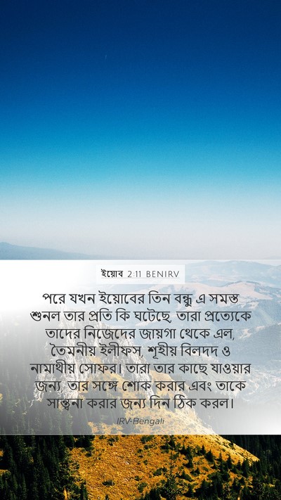 ইয়োব 2:11 BENIRV Bible Verse Image
