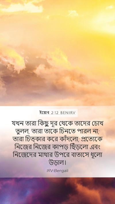 ইয়োব 2:12 BENIRV Bible Verse Image