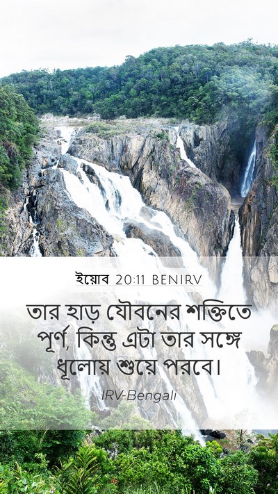 ইয়োব 20:11 BENIRV Bible Verse Image