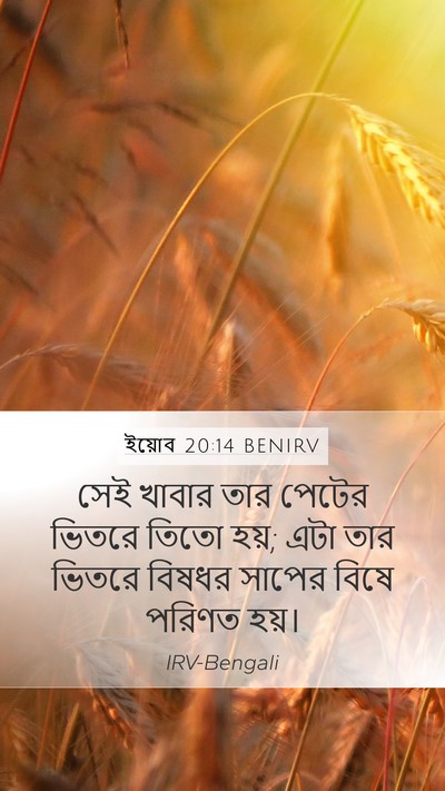 ইয়োব 20:14 BENIRV Bible Verse Image