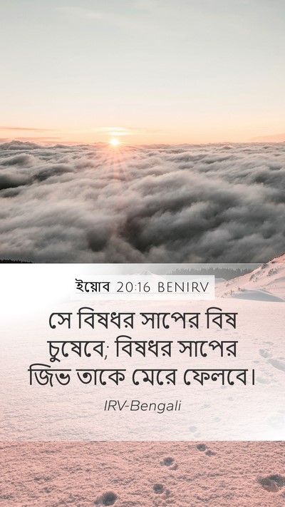 ইয়োব 20:16 BENIRV Bible Verse Image