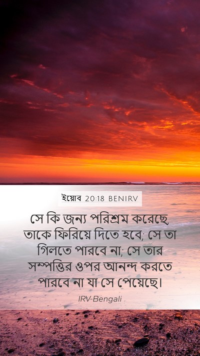ইয়োব 20:18 BENIRV Bible Verse Image
