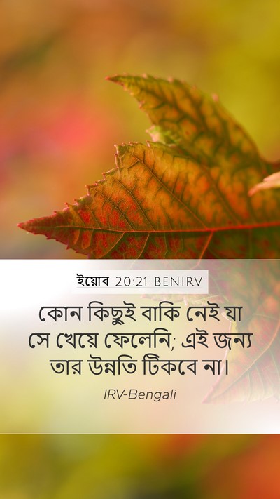 ইয়োব 20:21 BENIRV Mobile Phone Wallpaper - কোন কিছুই বাকি নেই - Mobile Bible Verse Wallpaper
