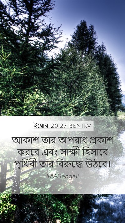 ইয়োব 20:27 BENIRV Bible Verse Image