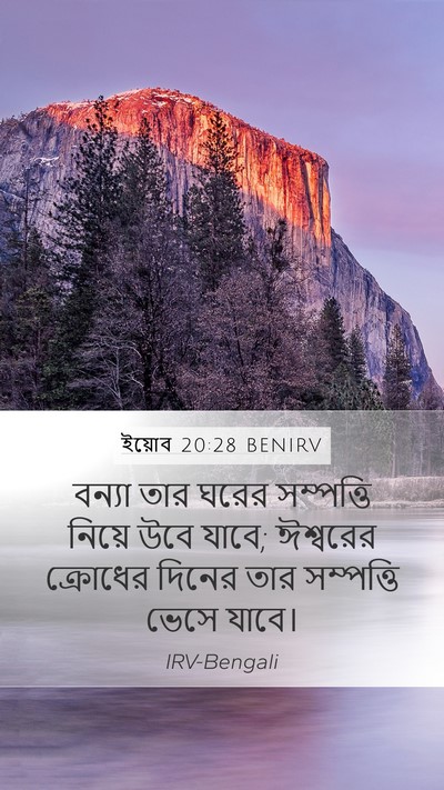 ইয়োব 20:28 BENIRV Mobile Phone Wallpaper - বন্যা তার ঘরের - Mobile Bible Verse Wallpaper