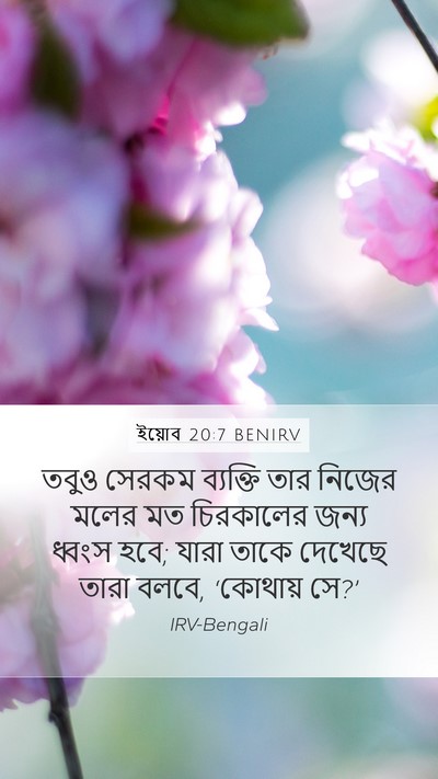 ইয়োব 20:7 BENIRV Bible Verse Image
