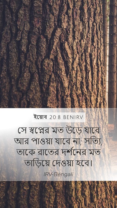 ইয়োব 20:8 BENIRV Bible Verse Image