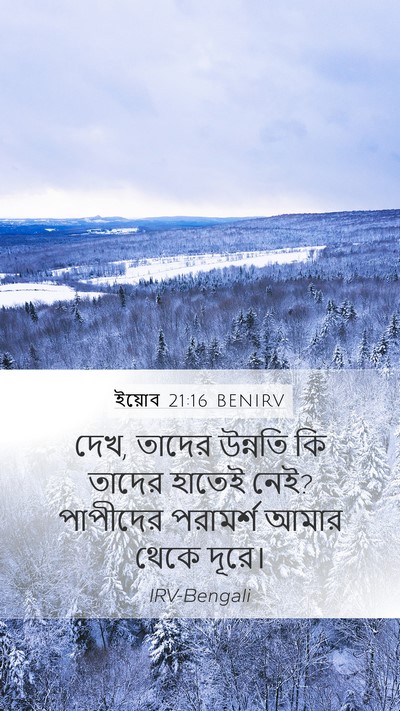 ইয়োব 21:16 BENIRV Bible Verse Image