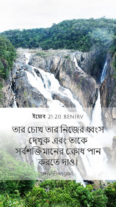 ইয়োব 21:20 BENIRV Bible Verse Image