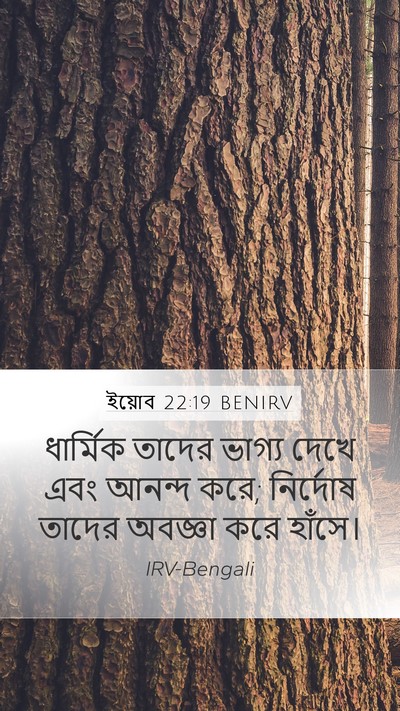 ইয়োব 22:19 BENIRV Bible Verse Image