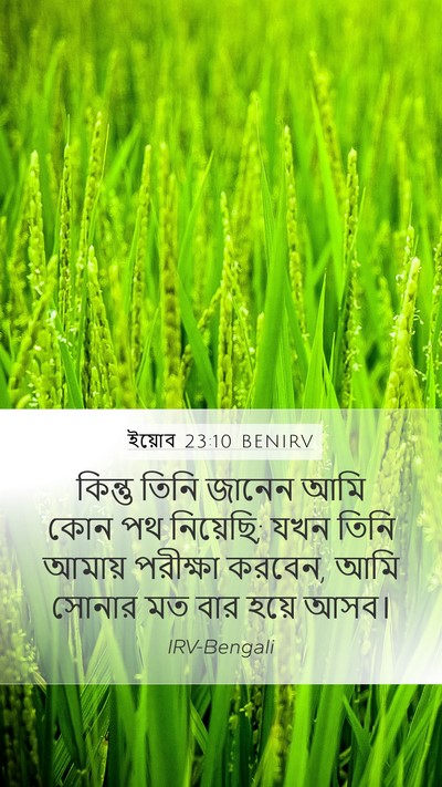 ইয়োব 23:10 BENIRV Bible Verse Image