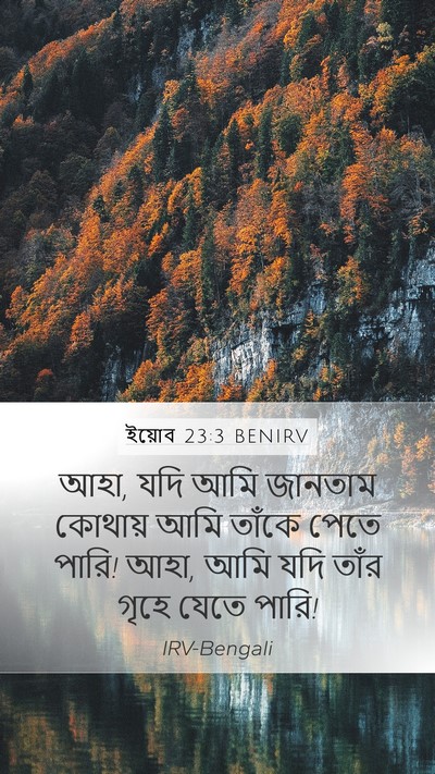 ইয়োব 23:3 BENIRV Bible Verse Image