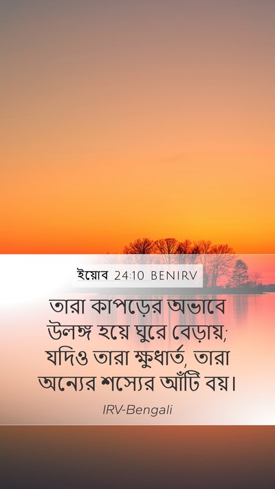 ইয়োব 24:10 BENIRV Bible Verse Image