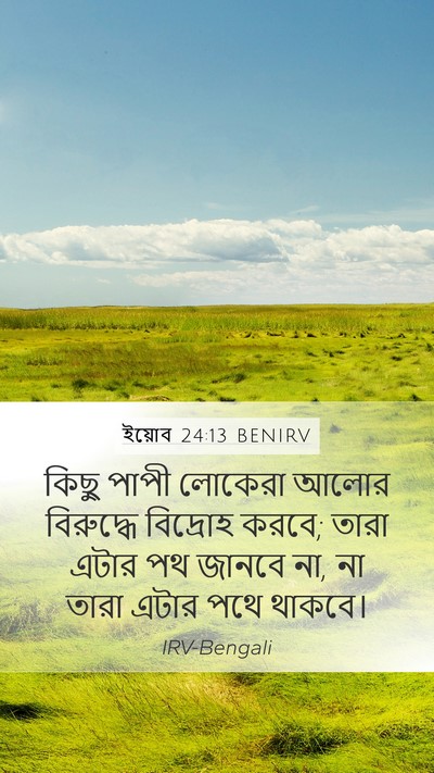 ইয়োব 24:13 BENIRV Bible Verse Image