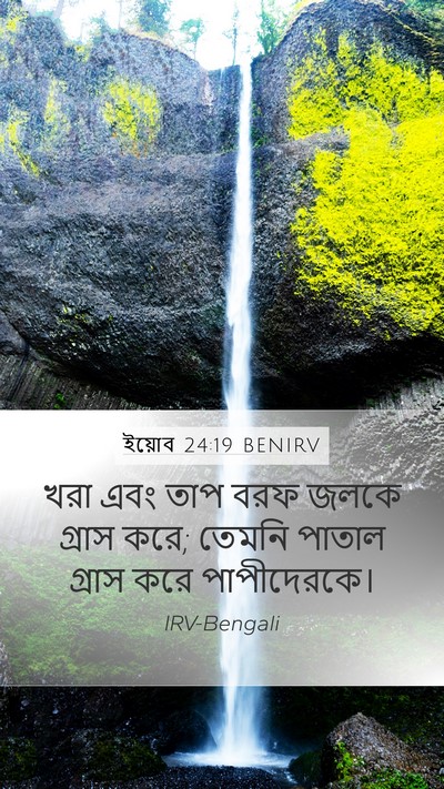 ইয়োব 24:19 BENIRV Bible Verse Image