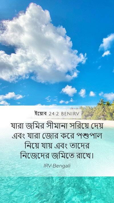 ইয়োব 24:2 BENIRV Bible Verse Image