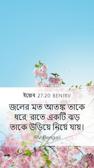 ইয়োব 27:20 BENIRV Bible Verse Image
