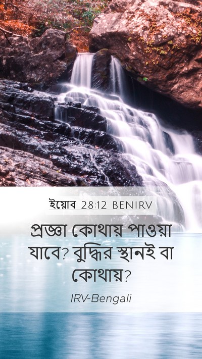 ইয়োব 28:12 BENIRV Bible Verse Image