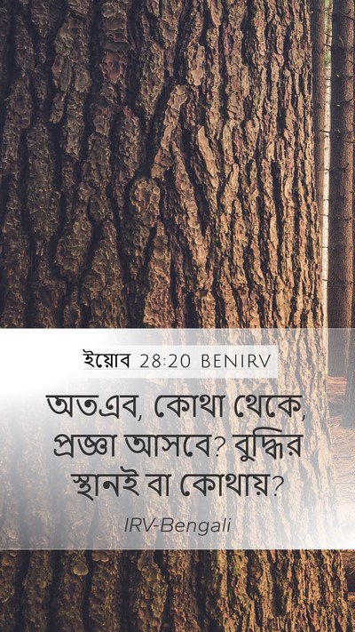 ইয়োব 28:20 BENIRV Bible Verse Image