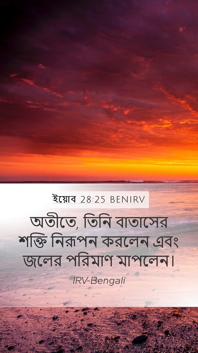 ইয়োব 28:25 BENIRV Bible Verse Image