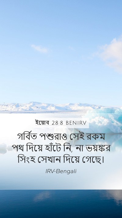 ইয়োব 28:8 BENIRV Mobile Phone Wallpaper - গর্বিত পশুরাও সেই - Mobile Bible Verse Wallpaper