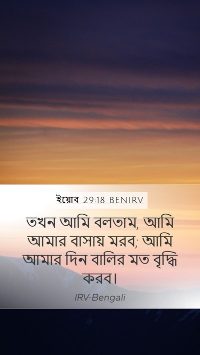 ইয়োব 29:18 BENIRV Bible Verse Image