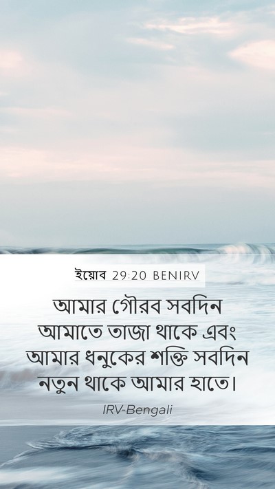 ইয়োব 29:20 BENIRV Bible Verse Image