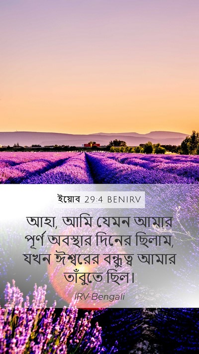 ইয়োব 29:4 BENIRV Bible Verse Image