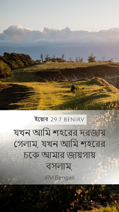ইয়োব 29:7 BENIRV Bible Verse Image