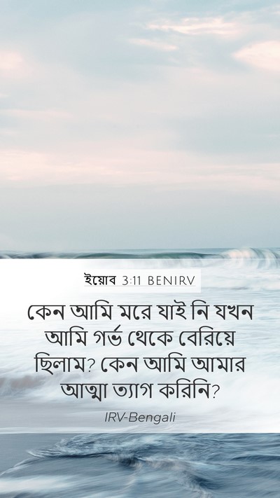 ইয়োব 3:11 BENIRV Bible Verse Image