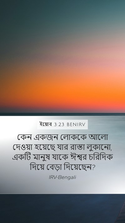 ইয়োব 3:23 BENIRV Bible Verse Image