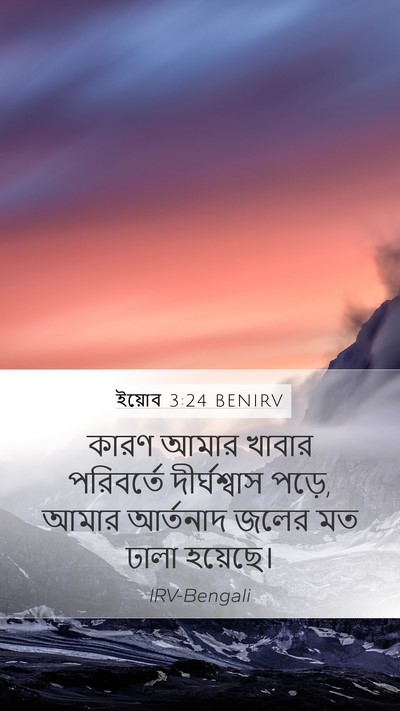 ইয়োব 3:24 BENIRV Bible Verse Image