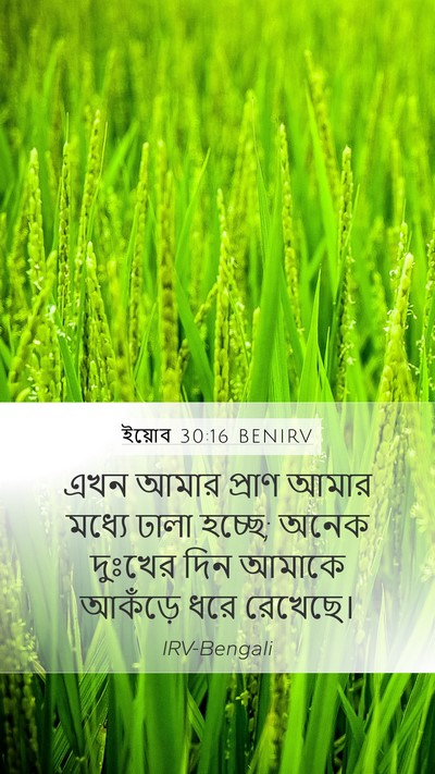 ইয়োব 30:16 BENIRV Bible Verse Image