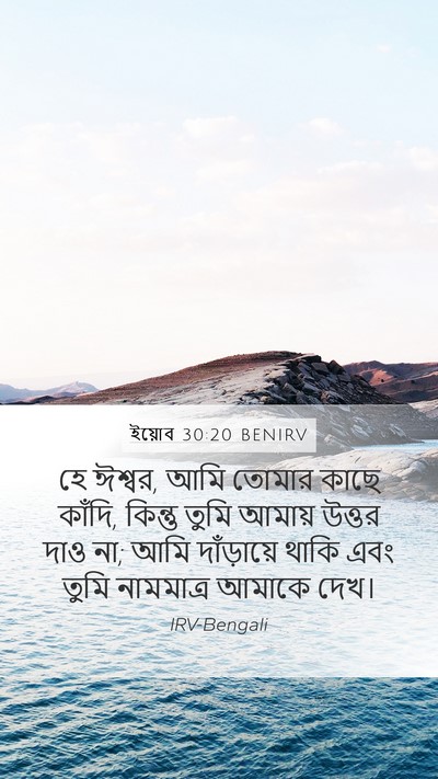 ইয়োব 30:20 BENIRV Bible Verse Image