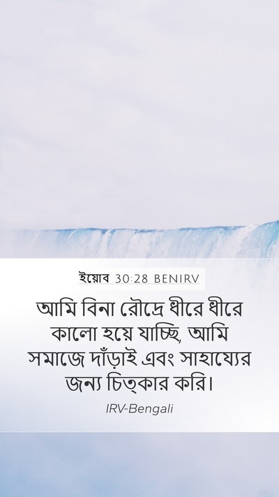 ইয়োব 30:28 BENIRV Bible Verse Image