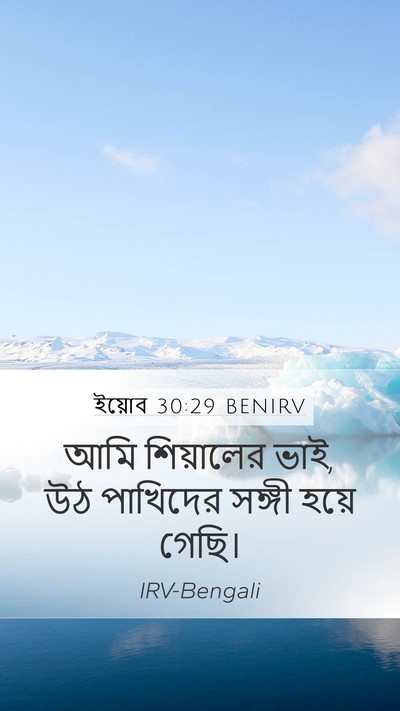 ইয়োব 30:29 BENIRV Bible Verse Image