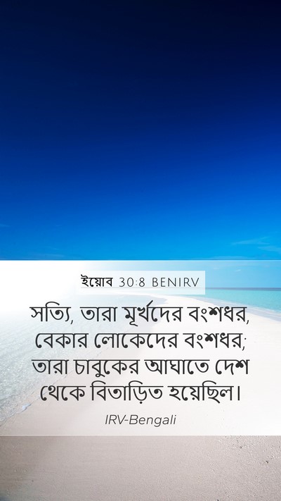 ইয়োব 30:8 BENIRV Bible Verse Image