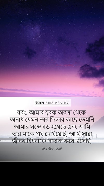 ইয়োব 31:18 BENIRV Bible Verse Image