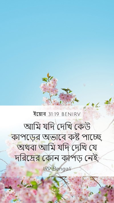 ইয়োব 31:19 BENIRV Bible Verse Image