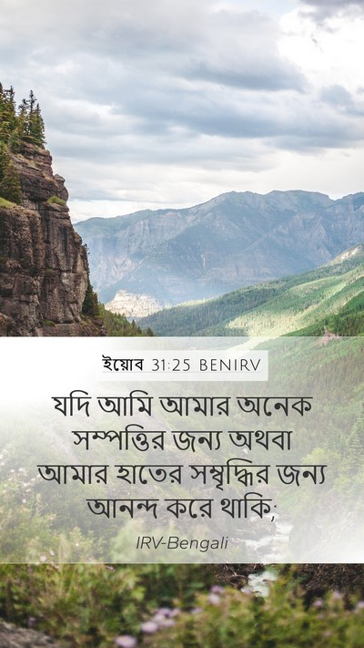 ইয়োব 31:25 BENIRV Mobile Phone Wallpaper - যদি আমি আমার অনেক - Mobile Bible Verse Wallpaper