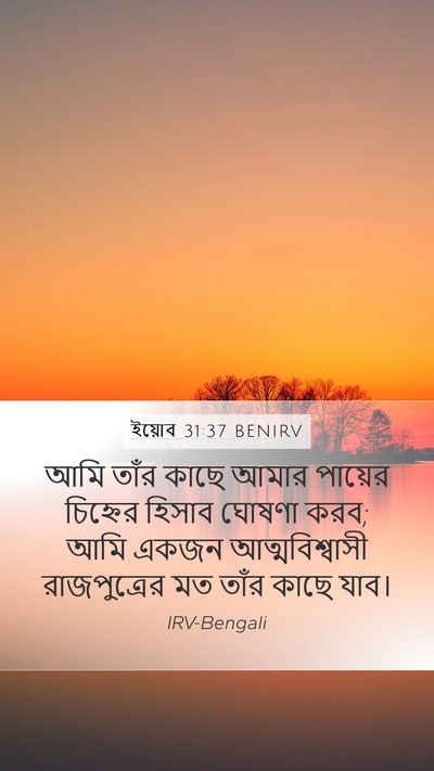 ইয়োব 31:37 BENIRV Bible Verse Image