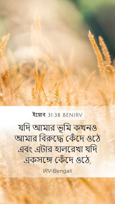 ইয়োব 31:38 BENIRV Mobile Phone Wallpaper - যদি আমার ভূমি কখনও - Mobile Bible Verse Wallpaper