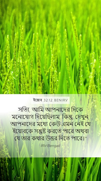 ইয়োব 32:12 BENIRV Mobile Phone Wallpaper - সত্যি, আমি আপনাদের - Mobile Bible Verse Wallpaper
