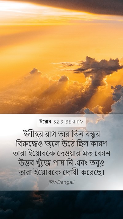 ইয়োব 32:3 BENIRV Bible Verse Image