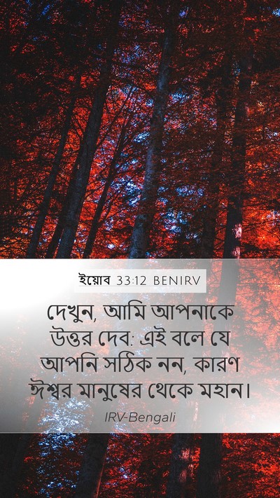 ইয়োব 33:12 BENIRV Mobile Phone Wallpaper - দেখুন, আমি আপনাকে - Mobile Bible Verse Wallpaper