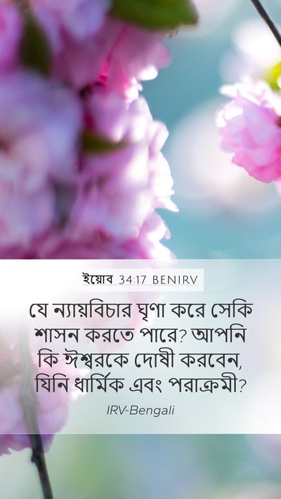 ইয়োব 34:17 BENIRV Bible Verse Image