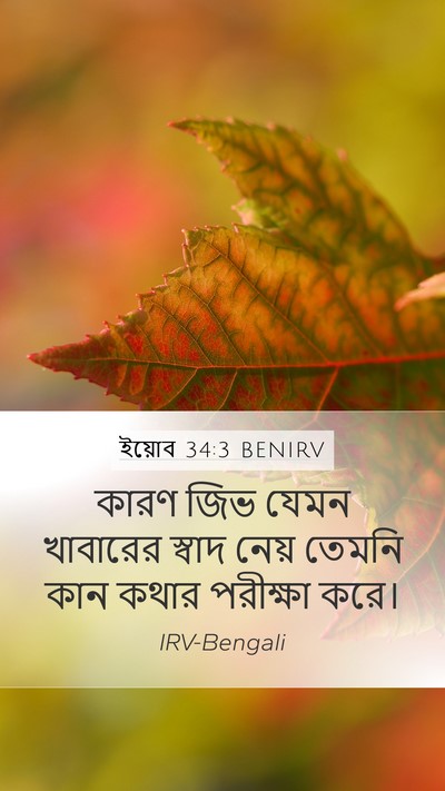 ইয়োব 34:3 BENIRV Bible Verse Image