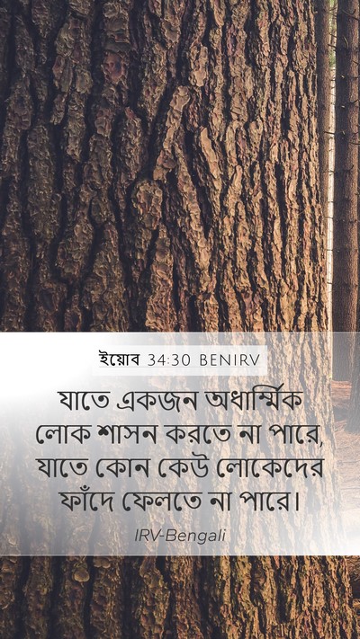 ইয়োব 34:30 BENIRV Bible Verse Image