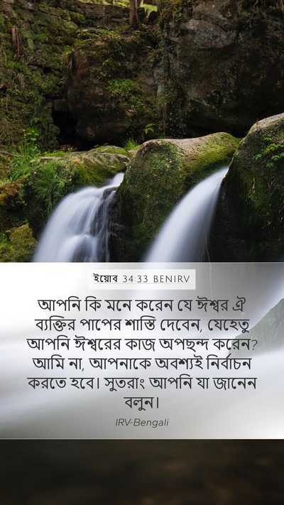 ইয়োব 34:33 BENIRV Bible Verse Image